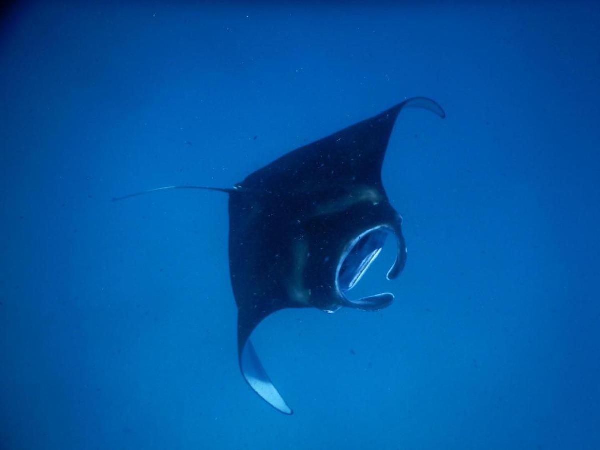 Wow Inn Keyodhoo Keyodhoo  Zewnętrze zdjęcie